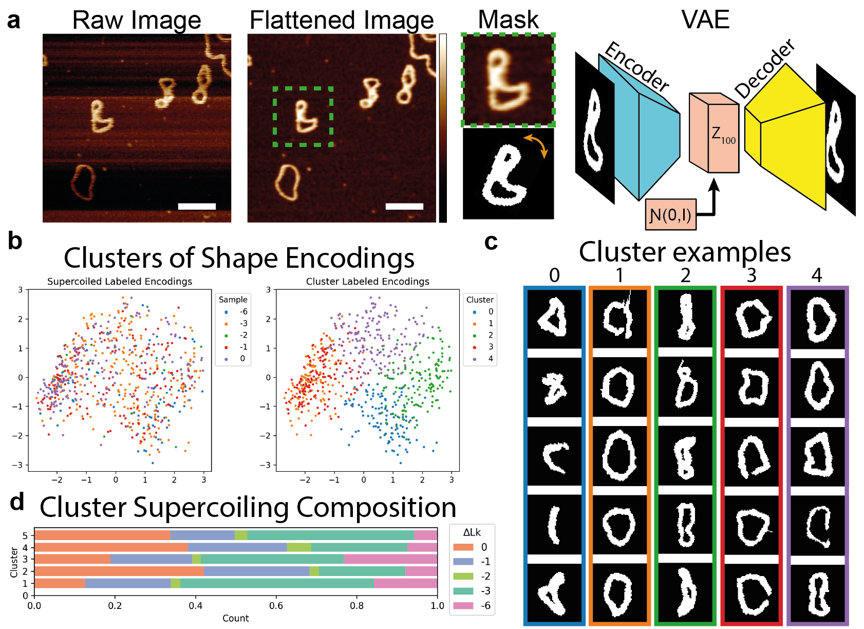 Inferring DNA shape via latent space variables